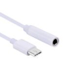 Type C to 3.5mm Jack Connector Cable - White